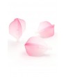 Plumas Cuesoul Tero AK4 STD Gradient Rosa