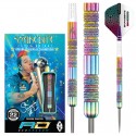 Dardos P.A. Red Dragon Peter Wright Spectrum Fusion 22gr