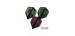 Voadores Fit Flight Shape Darius Labanauskas 2