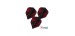 Plumas Fit Flight Shape Nasir Bomba 2