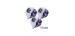 Fit Flight Standard Nadege Chretien