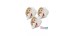Plumas Fit Flight Shape Noa-Lynn Van Leuven