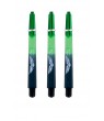Hastes Shot Eagle Claw Intermedias Verde/Preto
