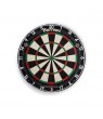 Alvo Harrows Pro Matchplay
