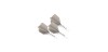 Cuesoul T19 Big Wing White Flights L