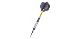 Target Luke Littler Brass Darts 19g